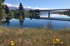 bridge